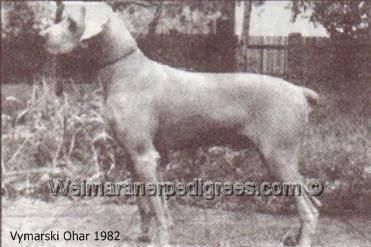 Publication : du Clos Meynier Auteur : Czech Republic