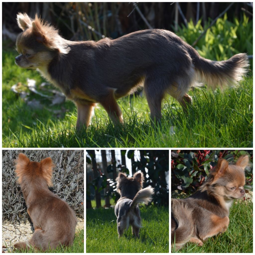 Publication : French Style Auteur : Caems Ansje