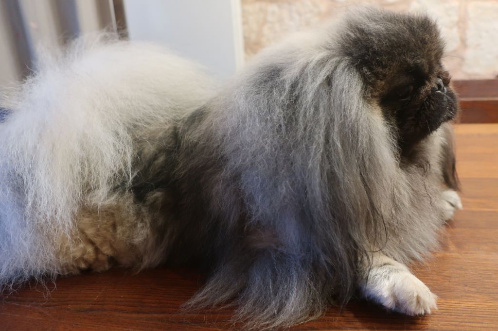 Publication : Des sables des cotilles Auteur : Mme Mathivat Yolande