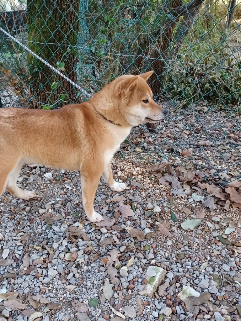 Publication : de la Passion d'une Vie