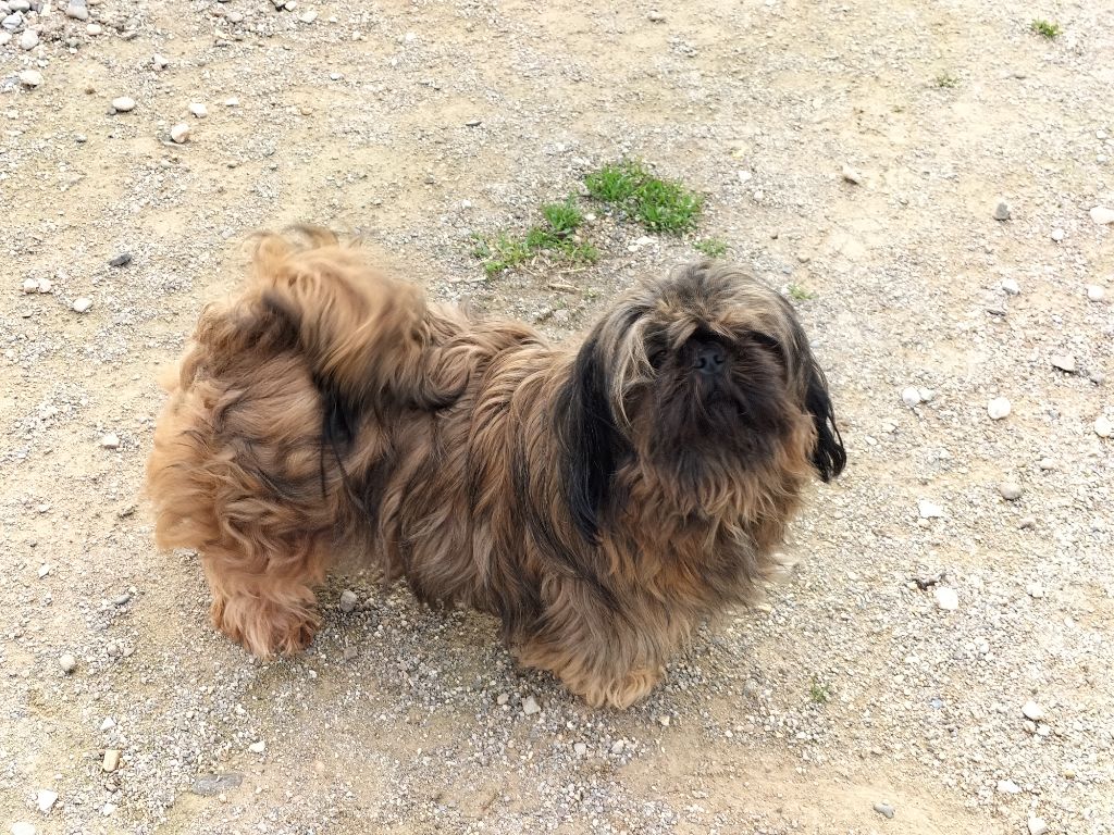 Publication : du Haut Pacquis 