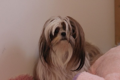 image de Rosalie