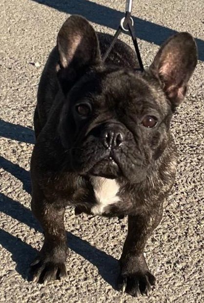 Publication : Du Domaine De Charroi 