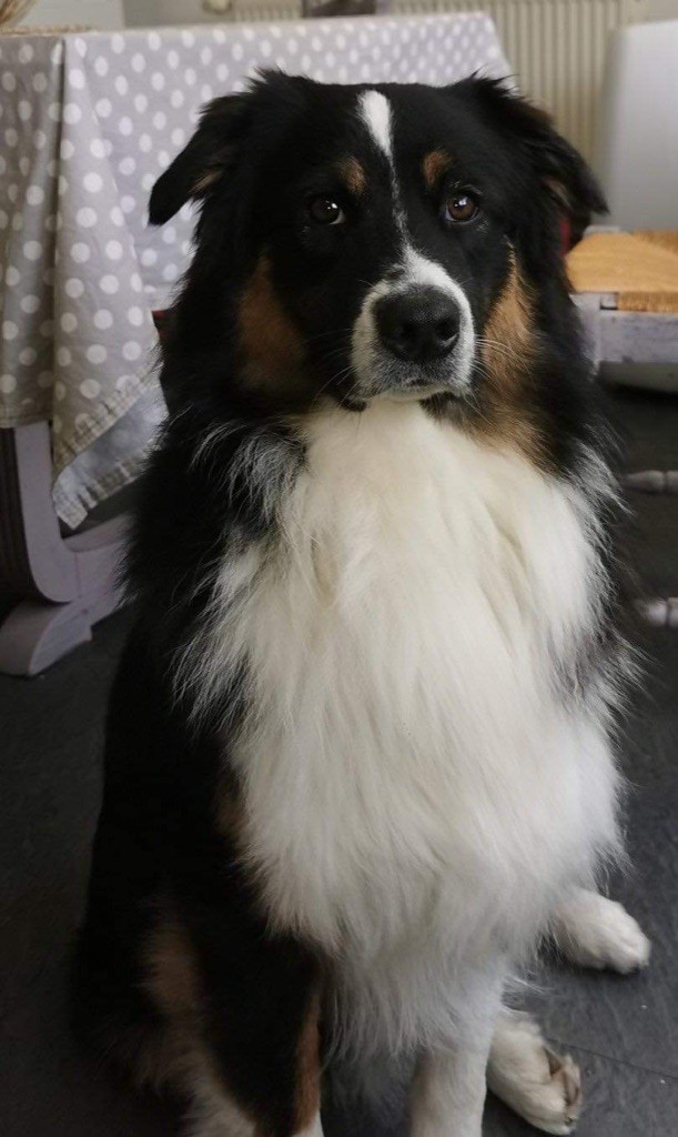 Publication : In Memory Of Nanou