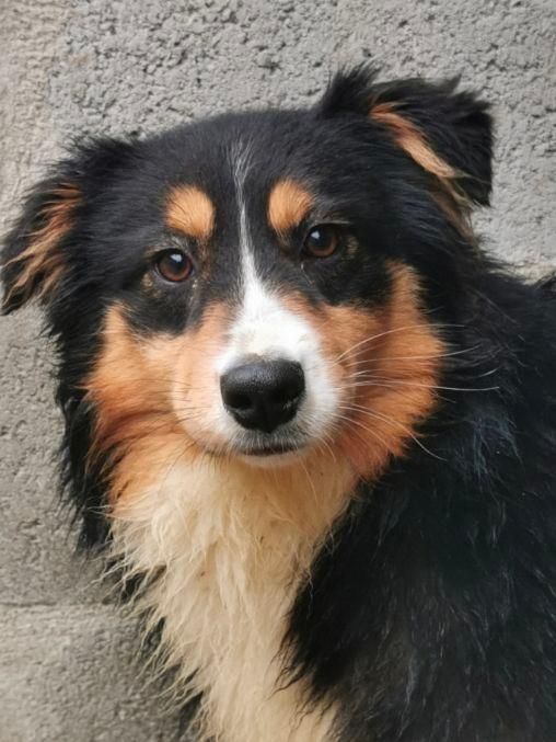 Publication : du mont de la chenaie 