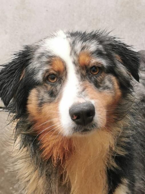 Publication : du mont de la chenaie 