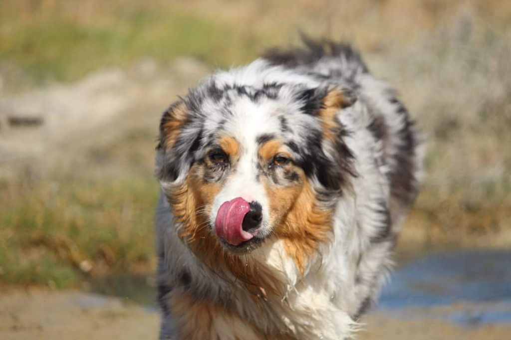 Publication : Des Guerriers D'Ypenburg