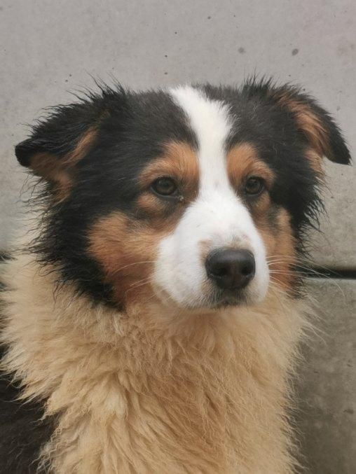 Publication : du mont de la chenaie 