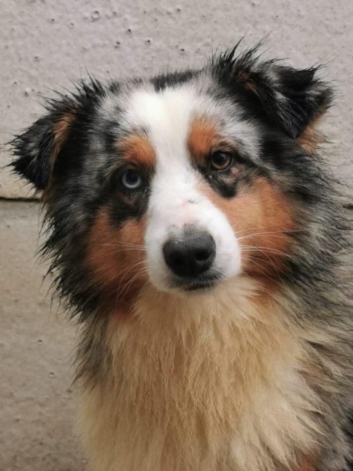 Publication : du mont de la chenaie 