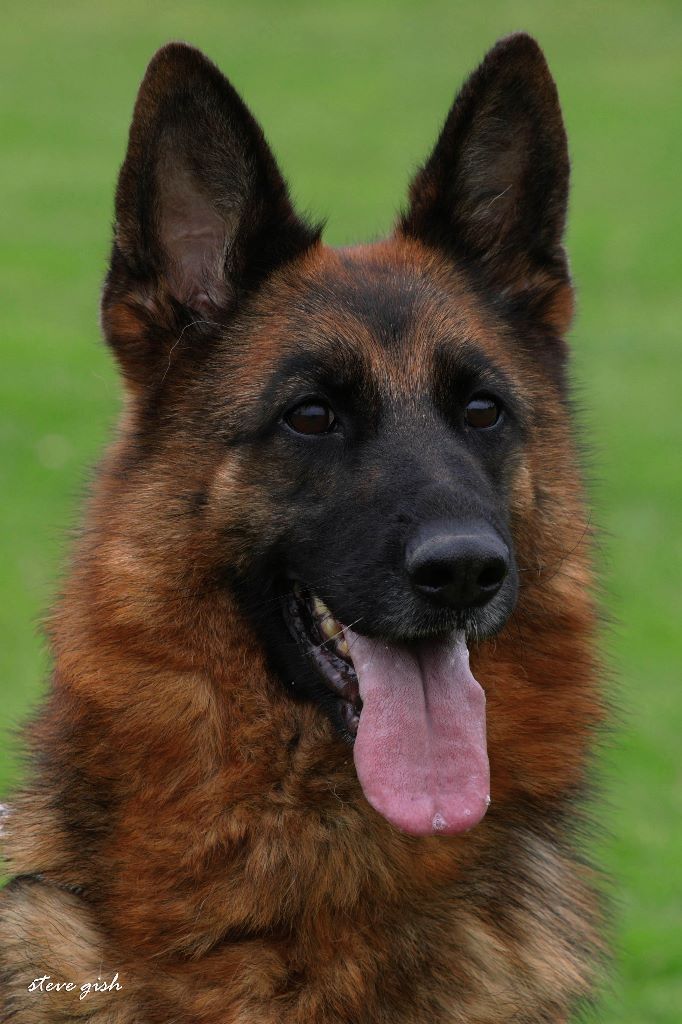 Publication : Vom haus thalie