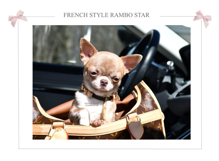 French Style Rambo star