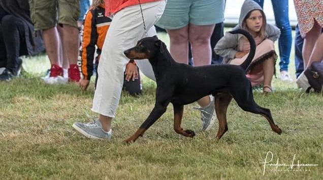 Publication : De la capellière 