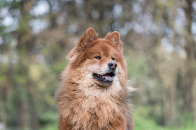 Perfect isaac Des Délices De Beltaine