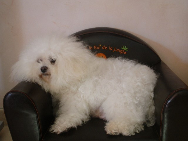 Publication : de la grande equinoxe 