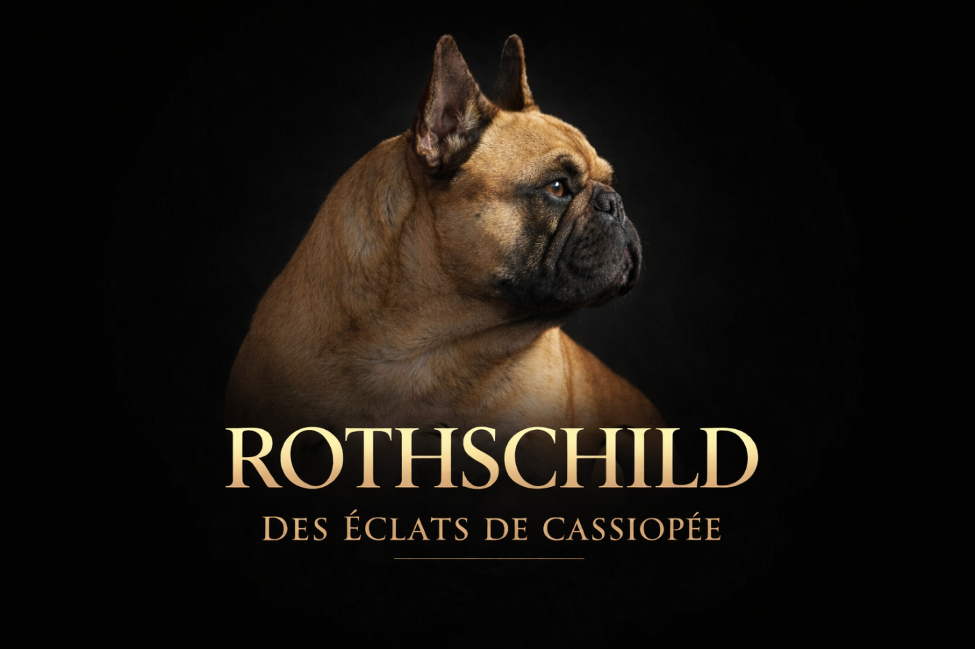 Rothschild Des éclats De Cassiopée