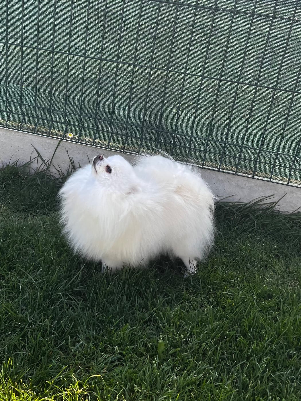 Publication : du Domaine des Marineros Auteur : ISABELLE MOREL