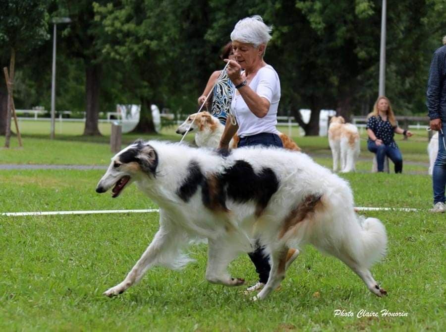 Otblesk Du cot regnier