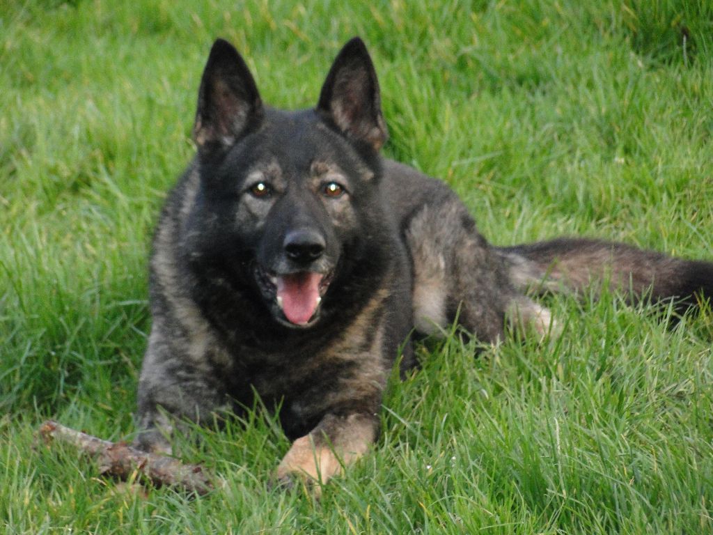 Publication : Von Haus Renoux 