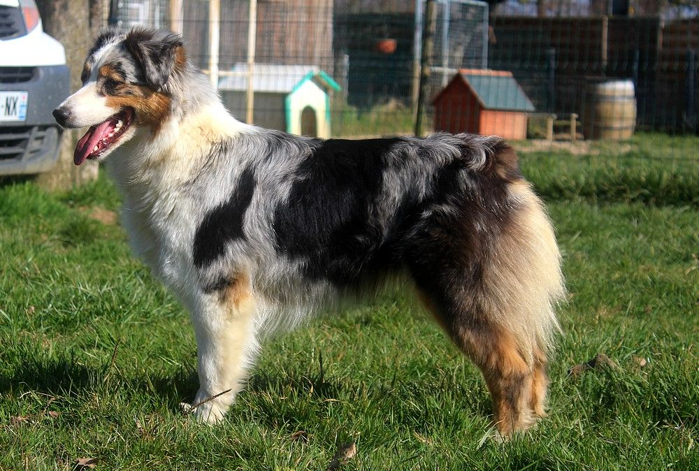 Publication : Of Moonlight Blue 