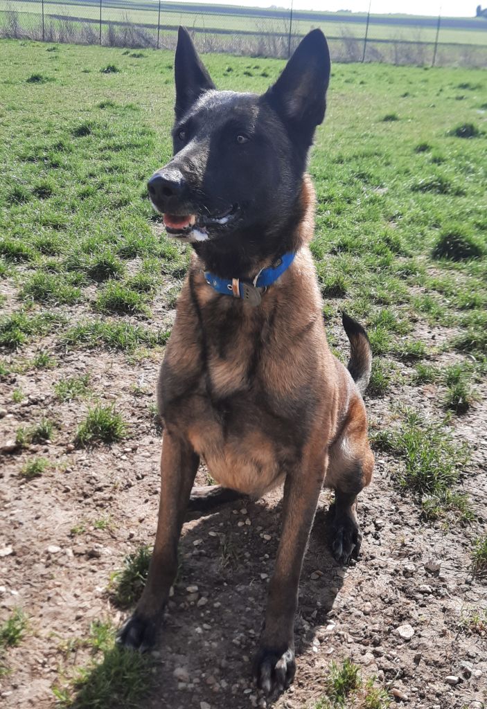 Publication : de la vallée du grand loup