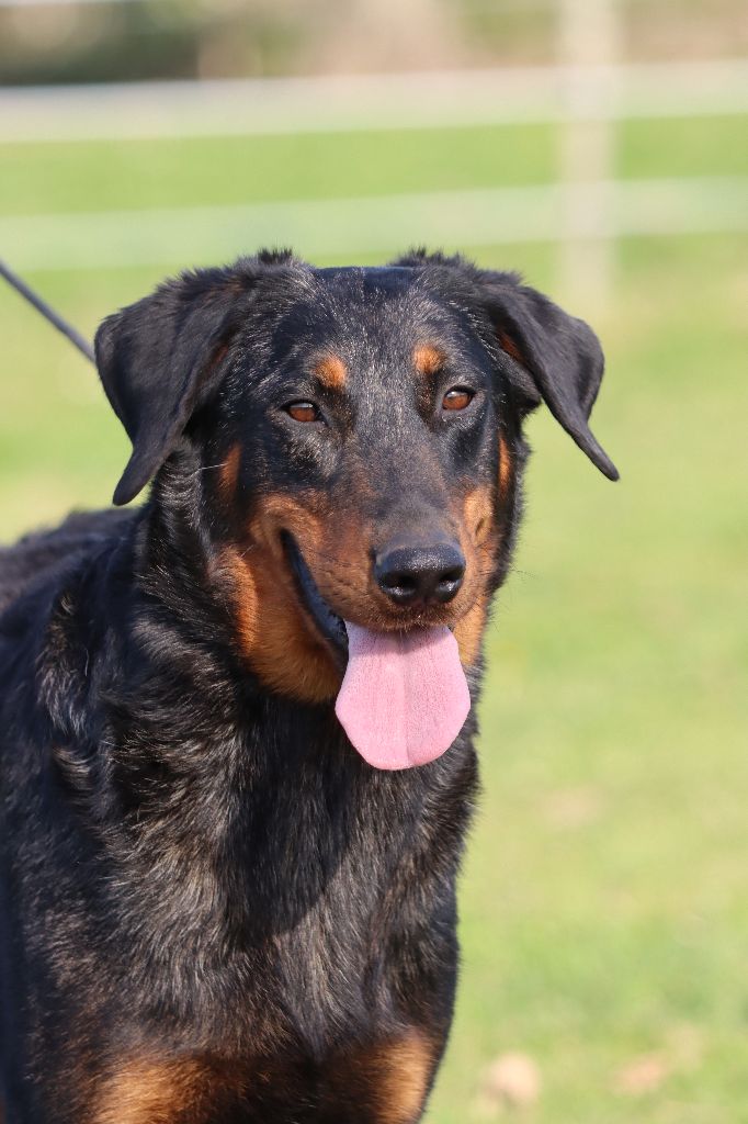 Publication : Des Terres Deauson Auteur : Maréva RIBES