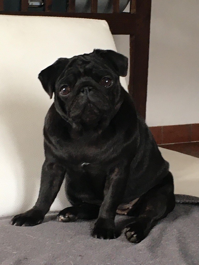 Publication : New Soul