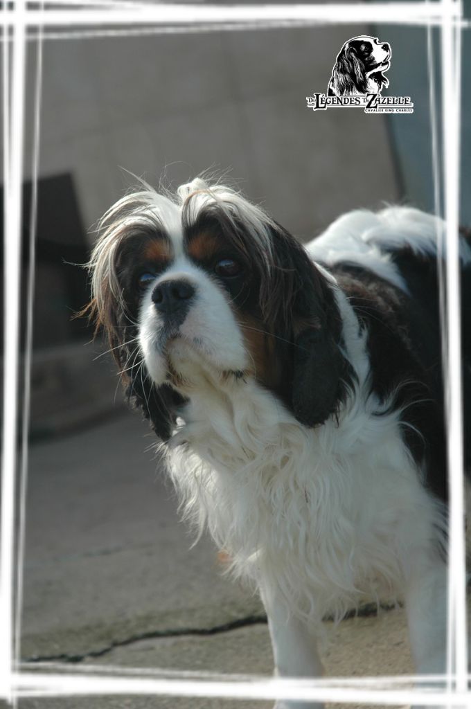 Punky brewster Des legendes de zazelle