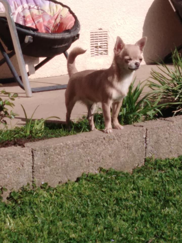  Auteur : Thierry Cochat