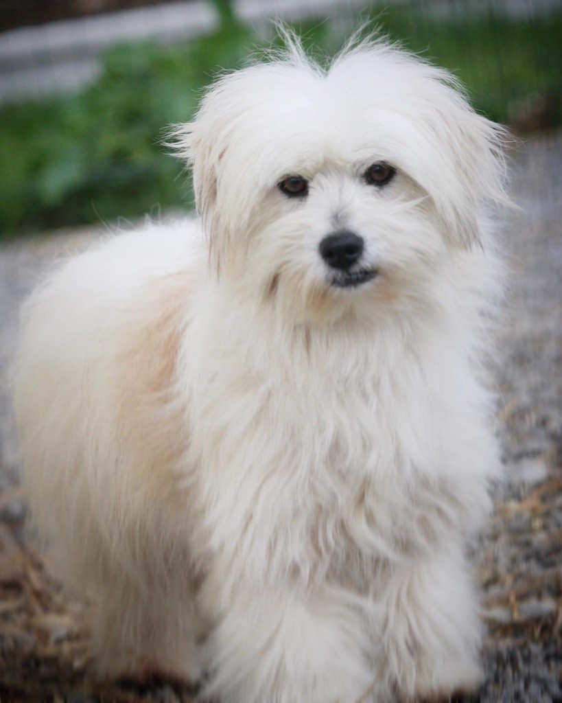 Publication : Des Vents D'Océan