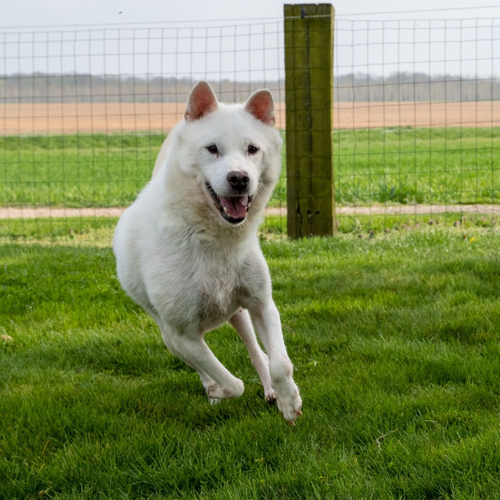 Publication : Des marais de courmont 