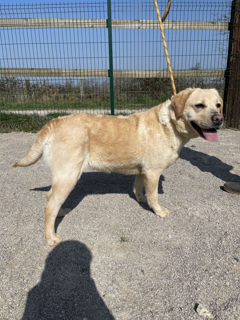 Publication : de la Vallée de Saint Samson 