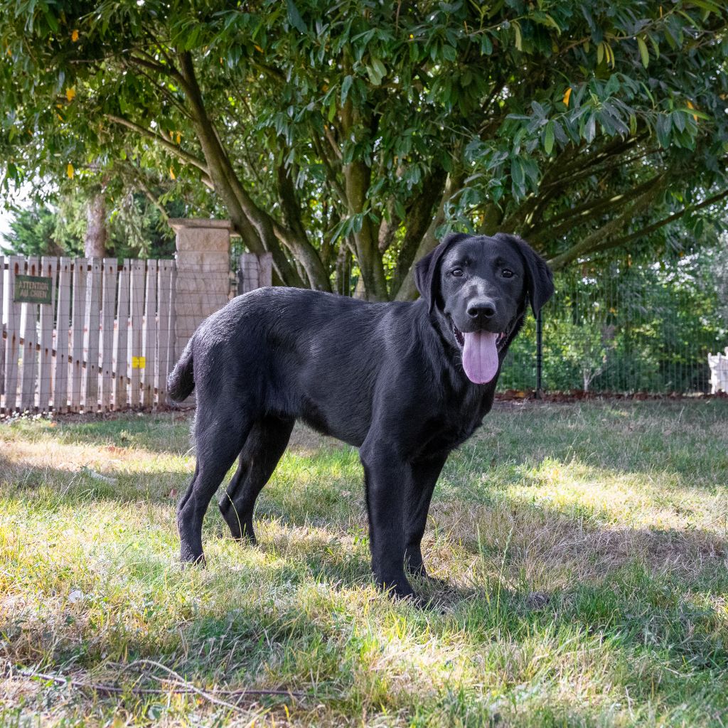 Publication : Des marais de courmont 