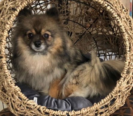 Publication : du Moulin de la Terrasse 