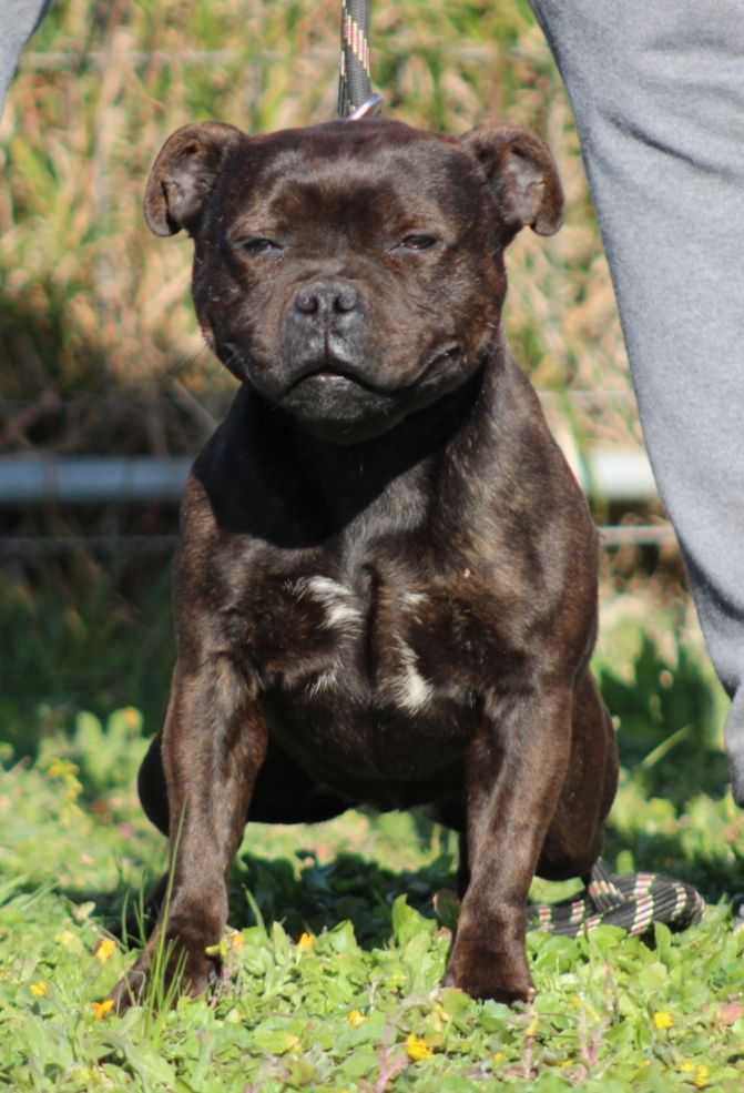 Publication : De La Tendre Puissance