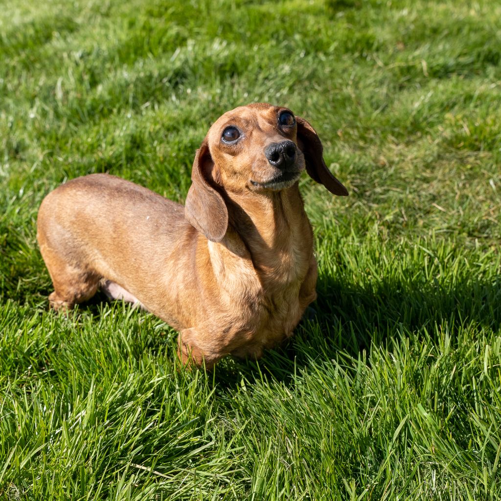 Publication : Des marais de courmont