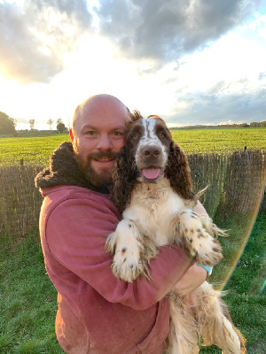 Étalon English Springer Spaniel - On nest pas sorti dla berge du Port Vieux of Euskadi