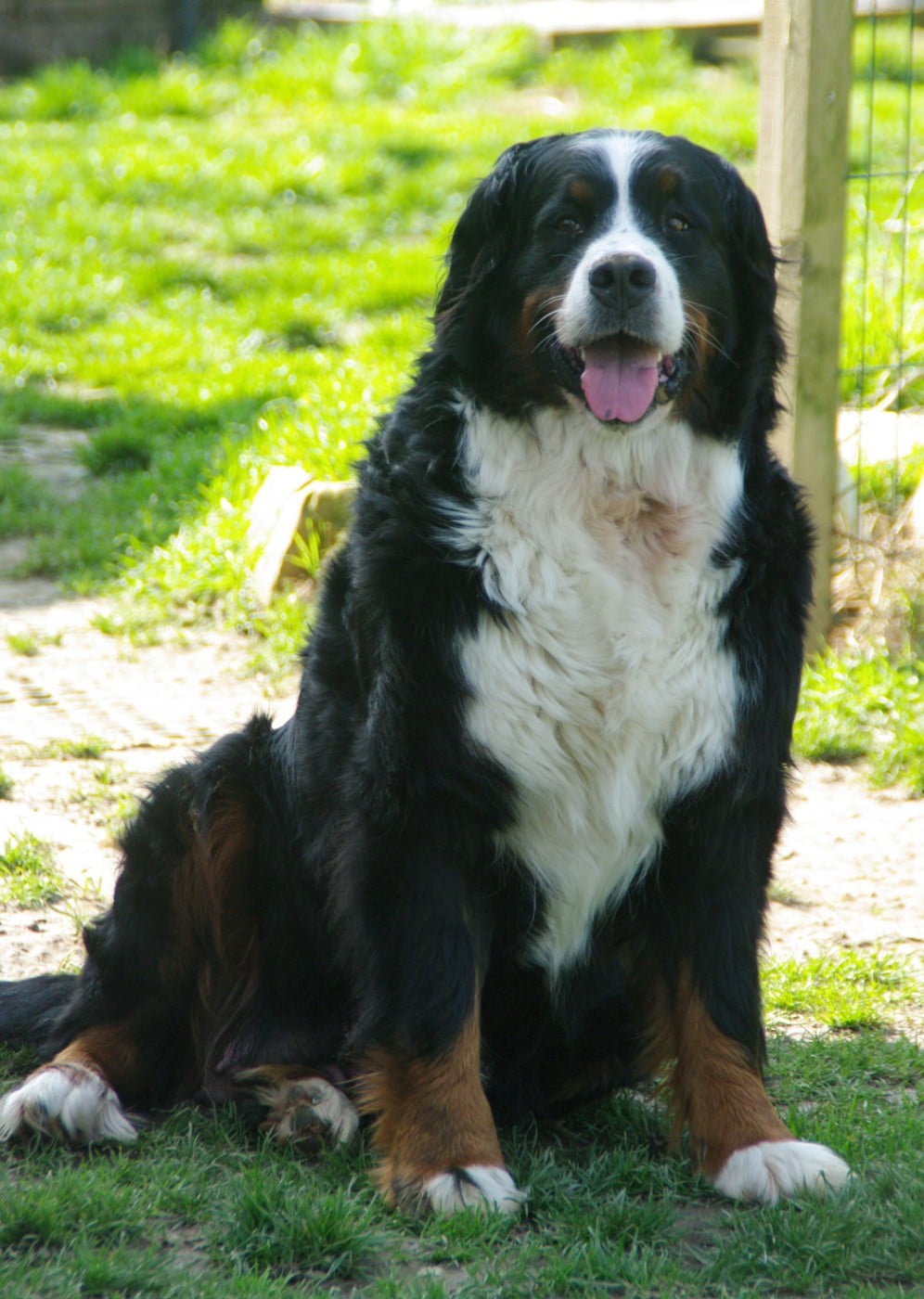 Publication : de l'empreinte de Jais 