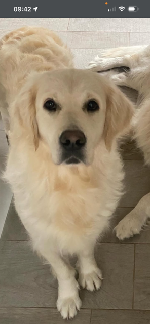 Sacred spirit (sky) Des Fees Du Dolmen