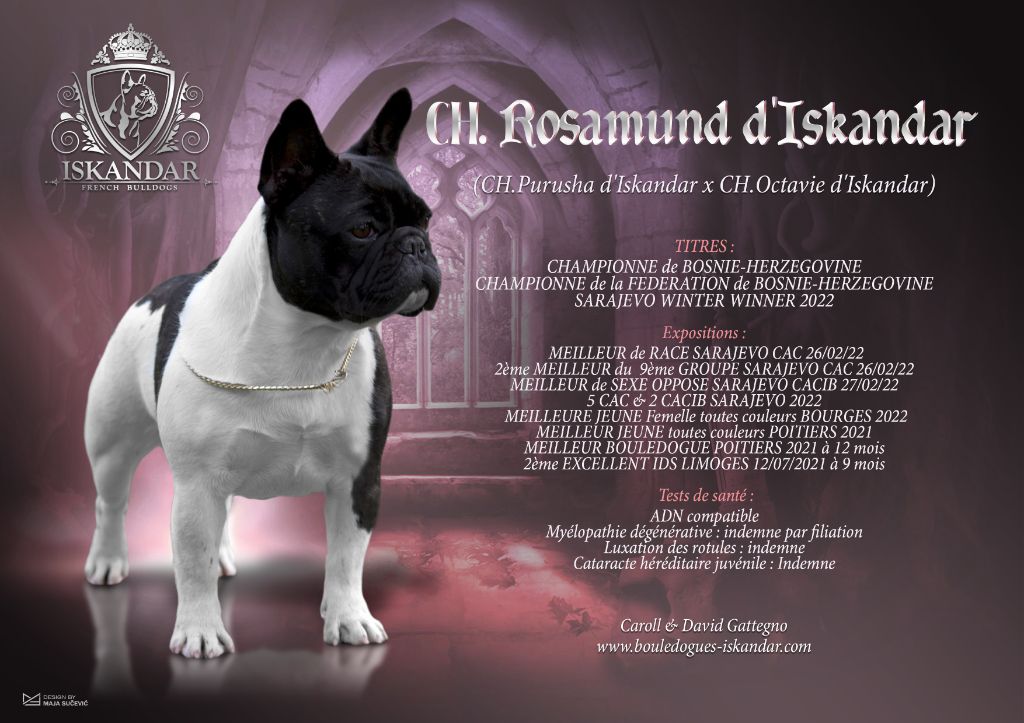 CH. Rosamund d'Iskandar