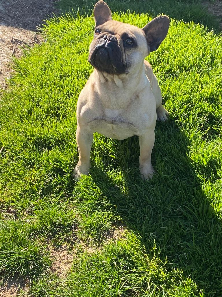 Publication : De La Tribu D'ozalée