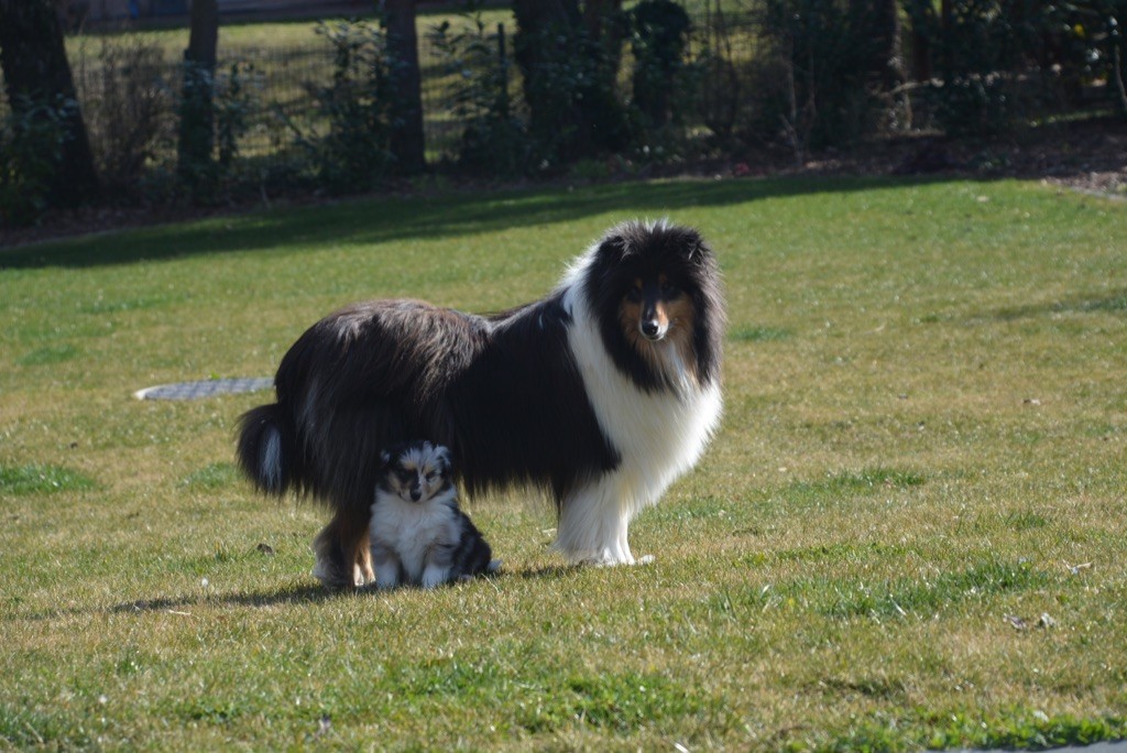 Publication : Ashbury Auteur : Cathy Sonntag 