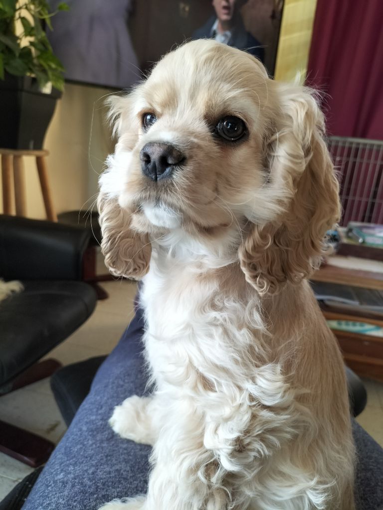  Auteur : francoise guillory