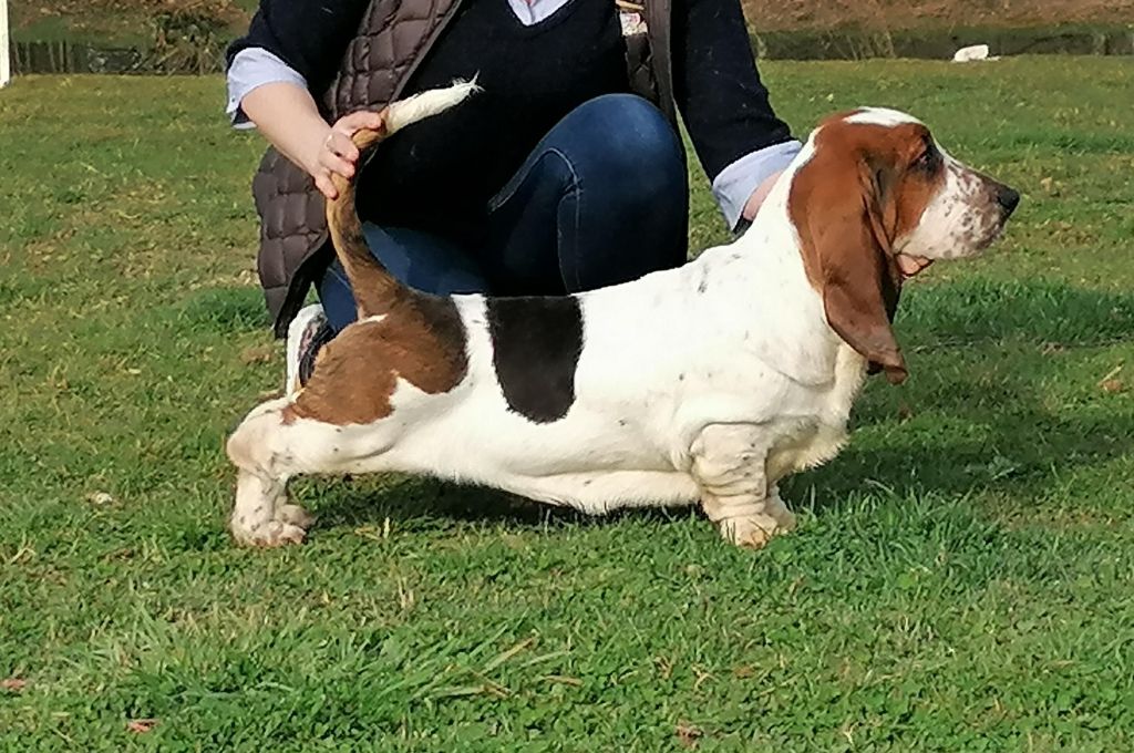 Publication : Des Treize Petites Fontaines Auteur : Les Treize Petites Fontaines