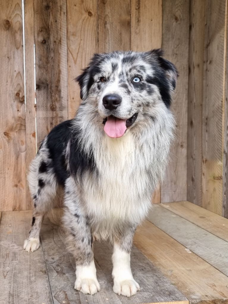 Publication : Du Domaine De La Canurie