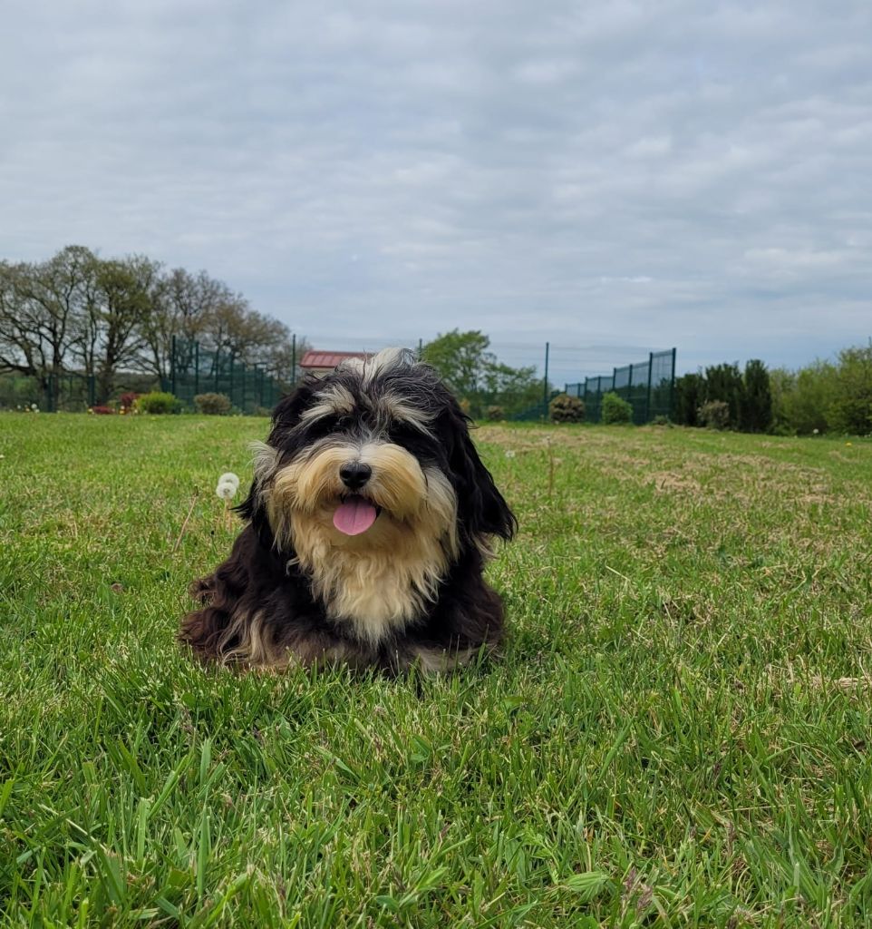 Publication : de l eternel mitness Auteur : mickaela