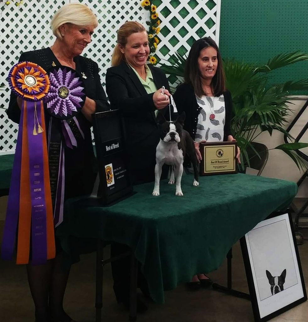 CH. hearbeats Dauntless