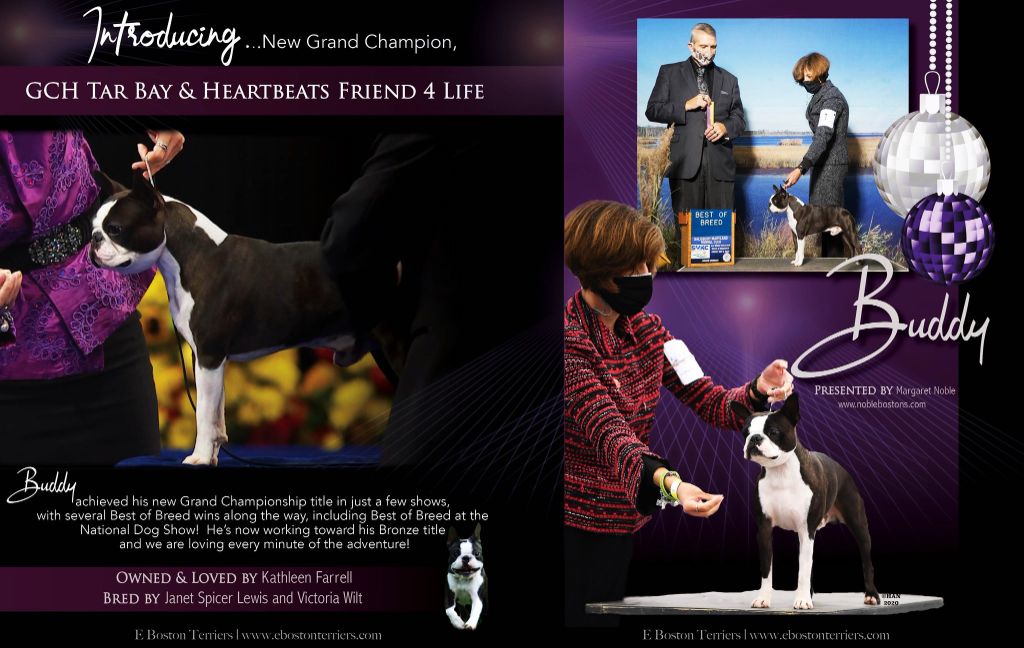 CH. tarbay & heartbeats Friend 4 life