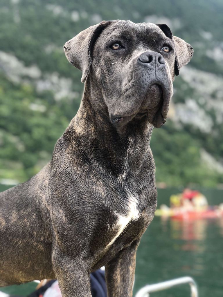 Publication : Des Gardiens Du Livradois 