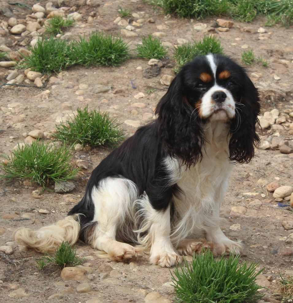 Publication : Du puits des sortileges 