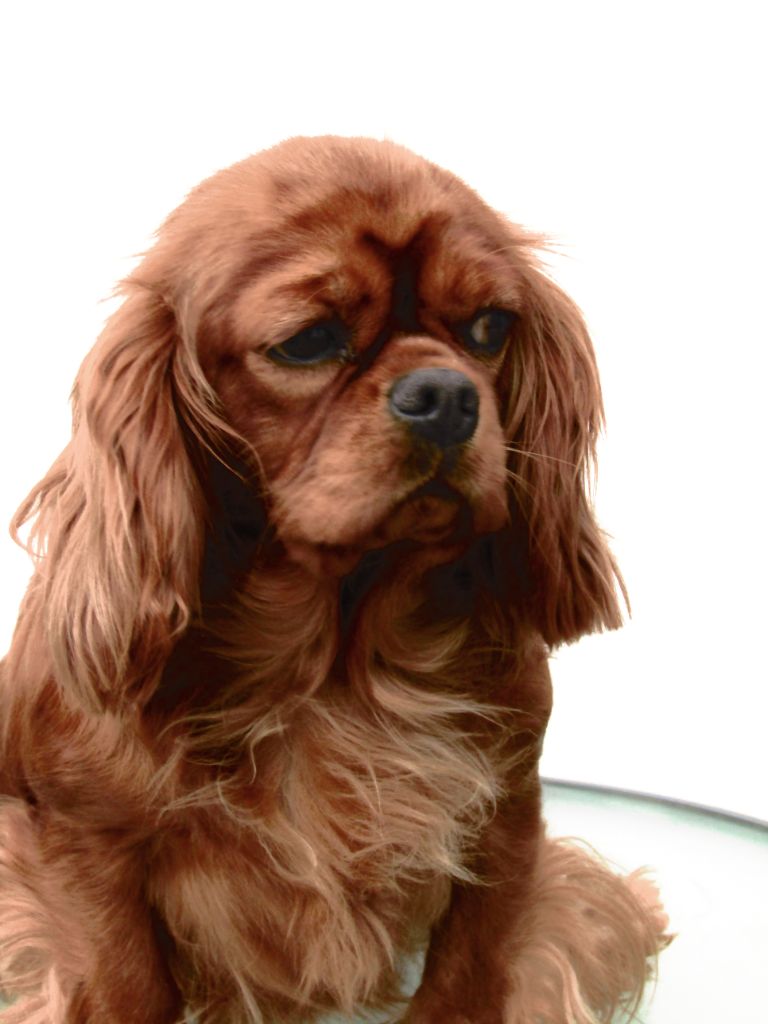 Publication : Des Marais De Bremes Auteur : C.Delattre